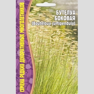 Бутелуа боковая (большой пакет)