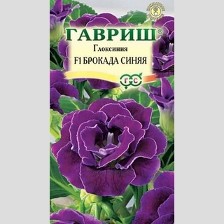 Глоксиния Брокада Синяя F1