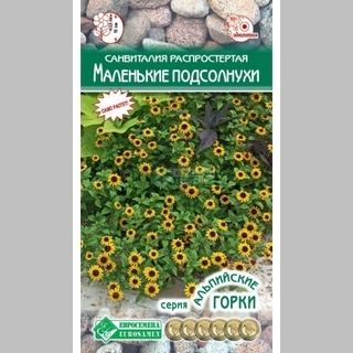 Санвиталия Маленькие Подсолнухи (распростертая)