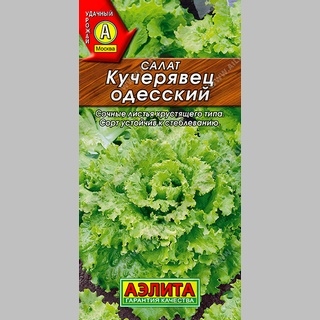 Салат Кучерявец Одесский (полукочанный)