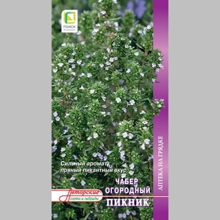 Чабер Пикник огородный