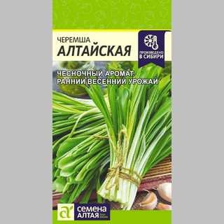 Черемша алтайская