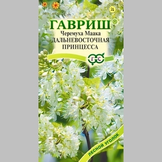 Черемуха Дальневосточная принцесса (Маака)