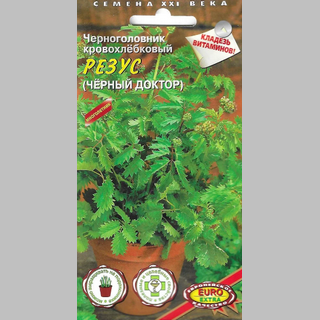 Черноголовник Резус (кровохлебка)