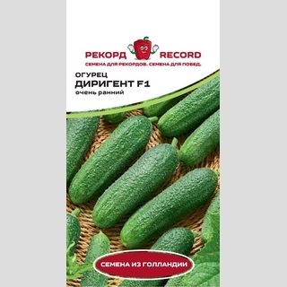 Огурец Диригент F1
