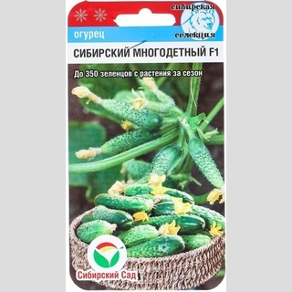 Огурец Сибирский многодетный F1
