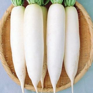 Дайкон Миноваси