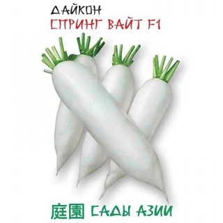 Дайкон Спринг Вайт F1