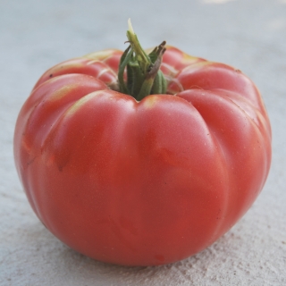 Томат Дакоста португальская