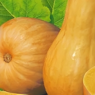 Тыква Дама в Шляпе