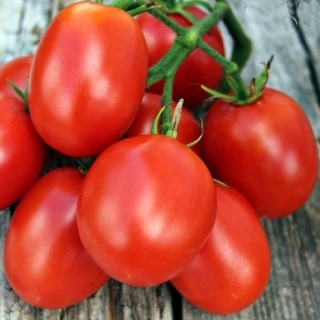 Томат Де Барао