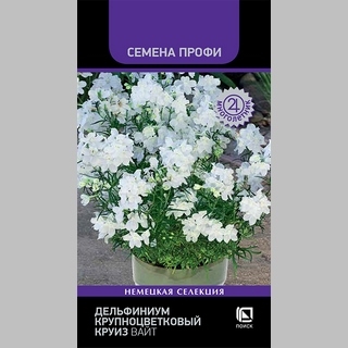 Дельфиниум Круиз Вайт (Семена Профи)