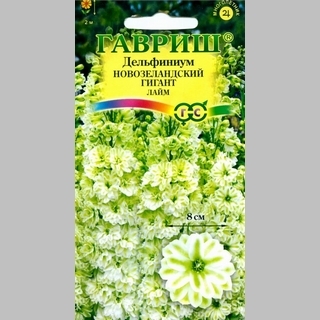 Дельфиниум Новозеландский гигант Лайм супермахровый