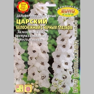 Дельфиниум Царский Белоснежный с чёрным глазком