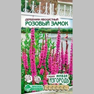 Дербенник Розовый замок иволистный