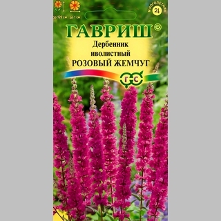 Дербенник Розовый жемчуг