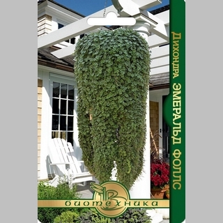 Дихондра Эсмиральд Фэлс