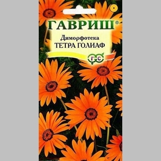 Диморфотека Тетра Голиаф