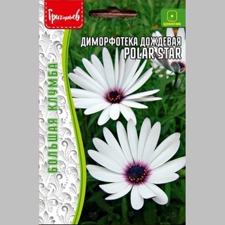 Диморфотека Polar Star дождевая (большой пакет)