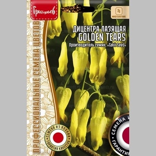 Дицентра Golden Tears лазающая (большой пакет)
