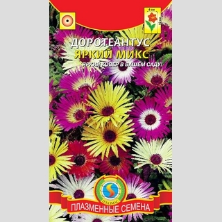 Доротеантус Яркий микс