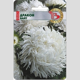 Астра Дракон селект Вайт