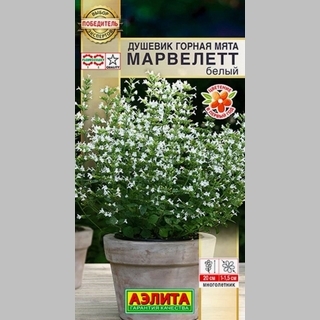 Душевик Горная мята Марвелетт Белый