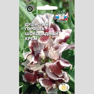 Горошек Шоколадный крем душистый