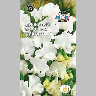 Горошек душистый Виконт