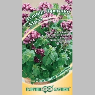 Душица Мила (орегано)