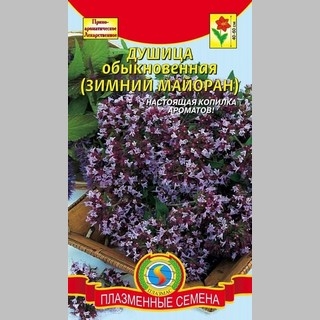 Душица обыкновенная (Зимний майоран)