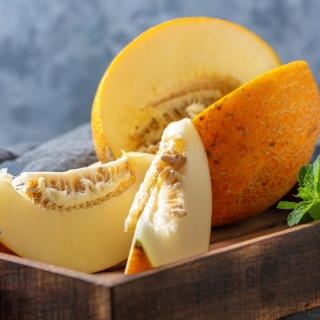 Дыня Апельсинка (мини-овощи)