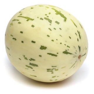 Дыня Далматин F1