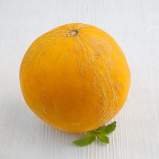 Дыня Колхозница 749/753