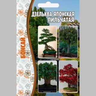 Дзельква Японская Пильчатая (большой пакет)