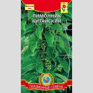 Лимонник Китайский