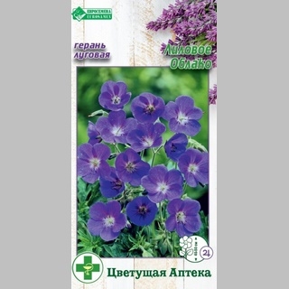 Герань Лиловое облако (луговая)