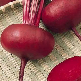 Свекла Египетская Плоская