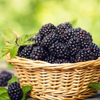 Ежевика Чёрное Варенье (большой пакет)