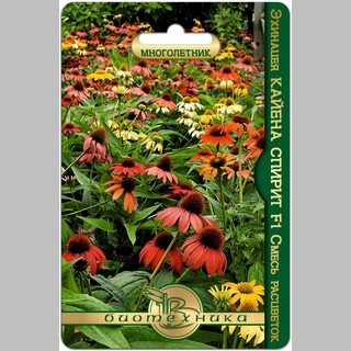Эхинацея Кайена Спирит F1 смесь