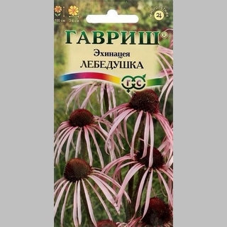 Эхинацея Лебедушка