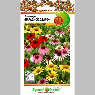 Эхинацея Парадисо Дварф смесь