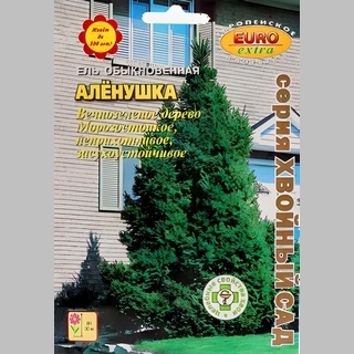 Ель Аленушка обыкновенная