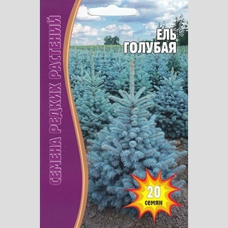 Ель Голубая (большой пакет)