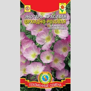 Энотера Орхидно-розовая (красивая)