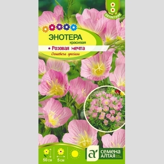 Энотера Розовая мечта
