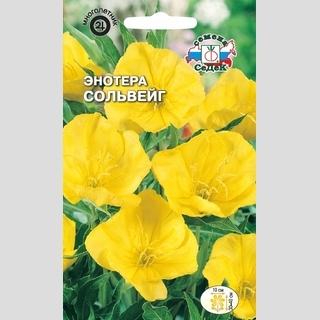Энотера Сольвейг миссурийская