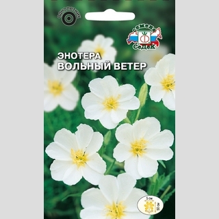 Энотера Вольный ветер