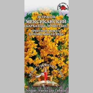 Эстрагон Мексиканский (бархатцы лучистые)