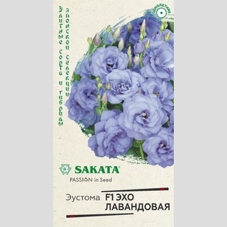 Эустома Эхо Лавандовая F1